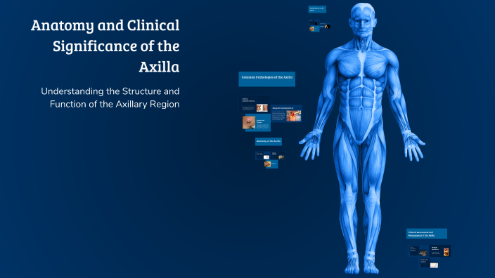 Anatomy and Clinical Significance of the Axilla by Rajakrishnan R SNS ...
