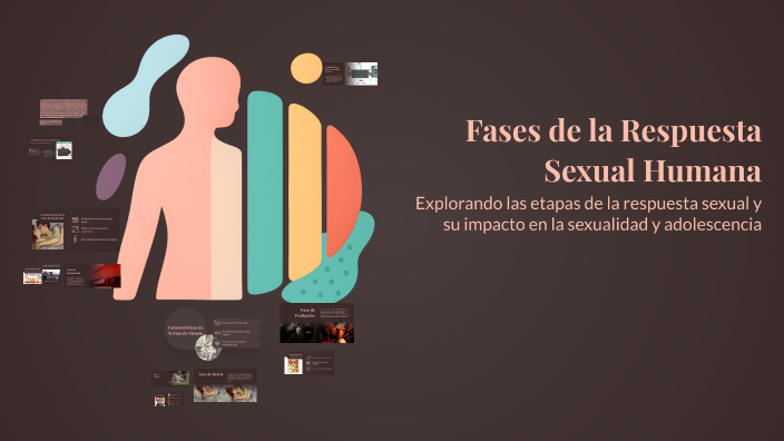 Fases de la Respuesta Sexual Humana by Nicole on Prezi