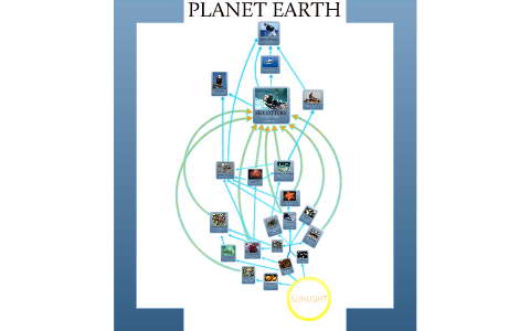 Sea Otter Food Chain by Aarsi Sra on Prezi