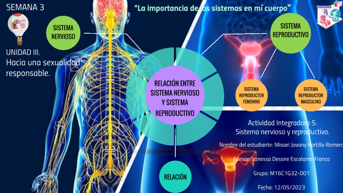 importancia del sistema nervioso