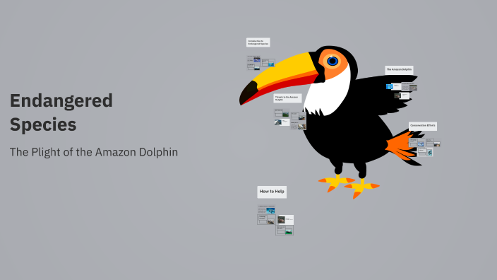 Endangered Species by Kenna Richards on Prezi