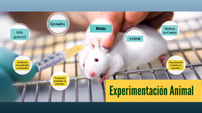 Experimentacion Animal by sofi gonzalez soria on Prezi
