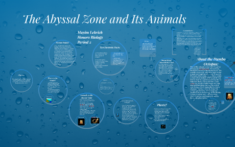 zone abyssal animals prezi