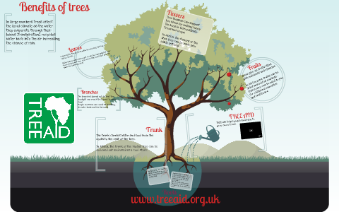 Benefits of trees by Jana Smith on Prezi