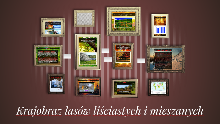 Krajobraz lasów liściastych i mieszanych by Oliwia Fokt on Prezi