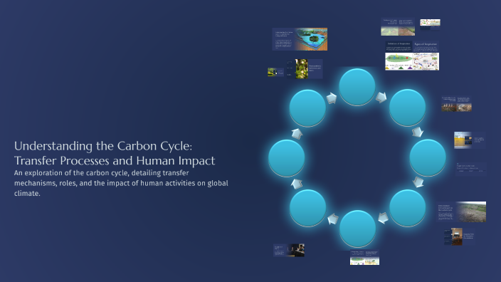 Understanding the Carbon Cycle: Transfer Processes and Human Impact by ...