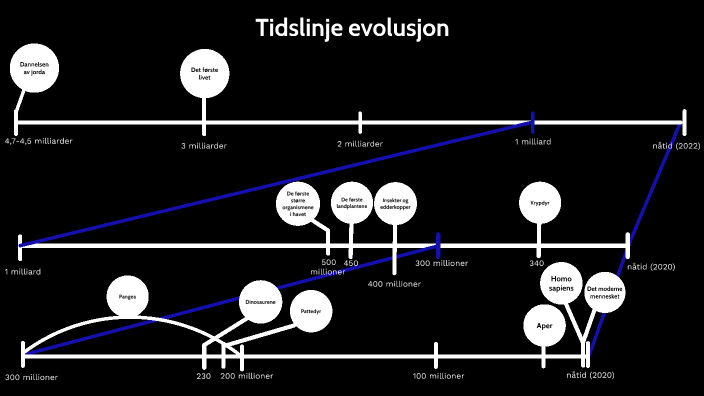 Tidslinje evolusjon by Aurora Larsen on Prezi