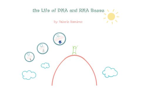 The Life of DNA and RNA Bases by Valerie Ramirez on Prezi