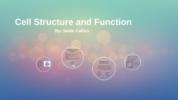 Cell Structure and Function by Sadie Callies on Prezi