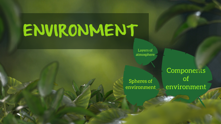 Environment by sakshi sharma on Prezi