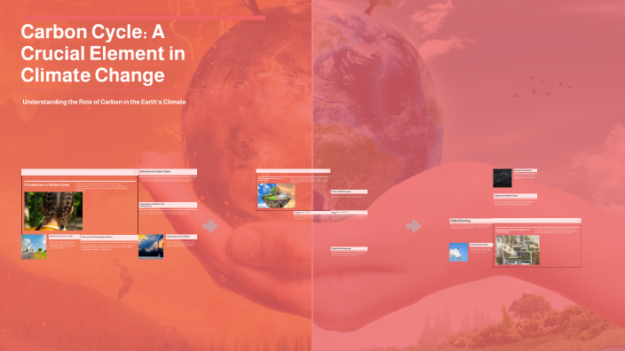 how to balance carbon cycle