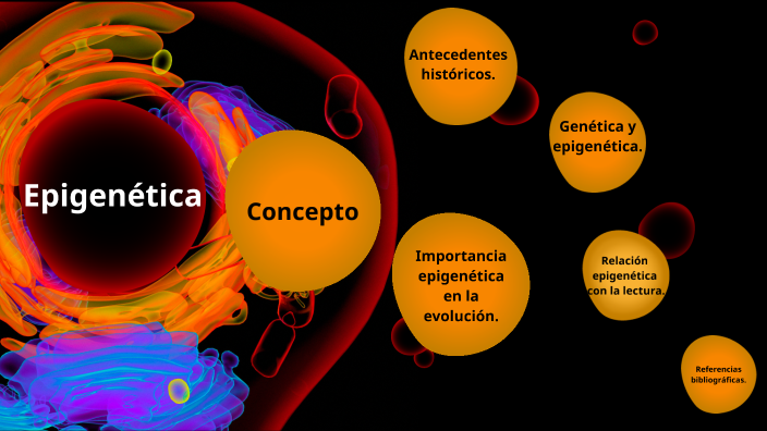 Epigenética by Amalia Zamora Carvajal on Prezi