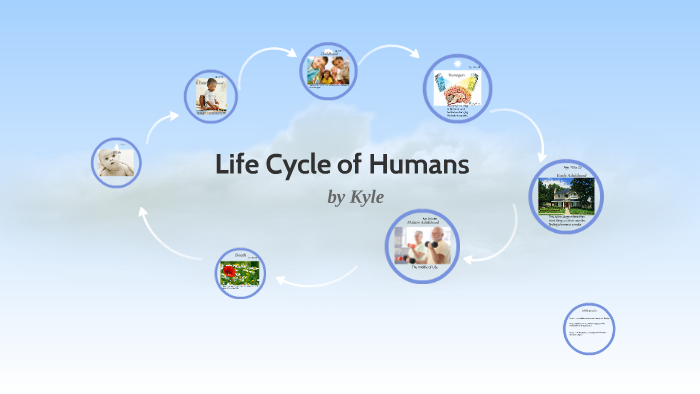 life cycle of humans by Kyle Maillard