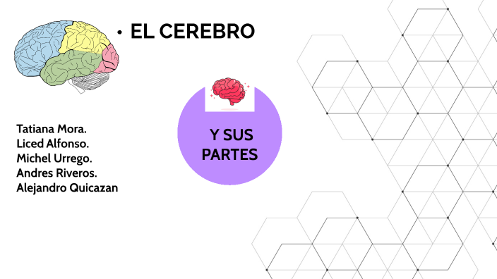 EL CEREBRO Y SUS PARTES by Tatiana Mora Hernández on Prezi