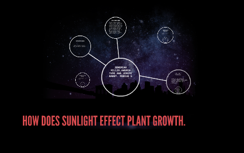 effect of sunlight on plant growth research