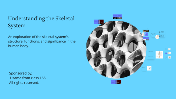 Understanding the Skeletal System by Usama Nb on Prezi