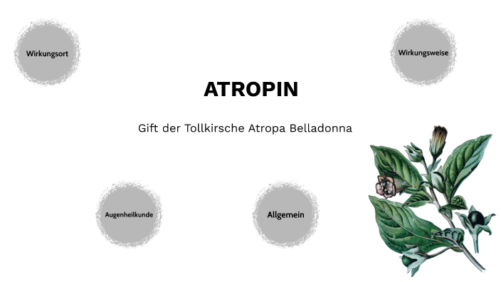 Atropin - Gift der Tollkirsche by Hannah Brill on Prezi
