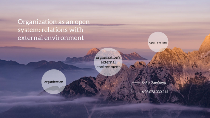 organization-as-an-open-system-relations-with-external-environment-by