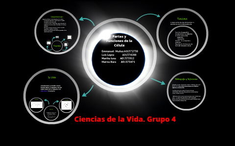 partes y funciones de la célula by Manu Muñoz on Prezi