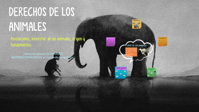 DERECHOS DE LOS ANIMALES by Nadia Segoviano on Prezi