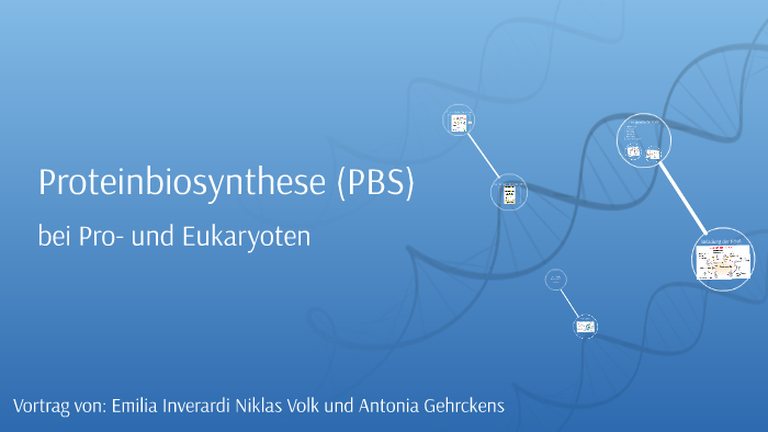 Proteinbiosynthese Pro Und Eukaryoten Proteinbiosynthese (PBS) bei Pro- und Eukaryoten by Antonia Gehrckens