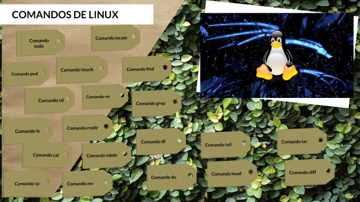 comandos de basicos de linux by Edwin Franklin Pachacutec Quispe on Prezi