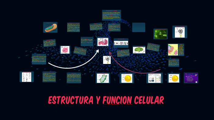 Estructura y Funcion Celular by juan carlos cashug