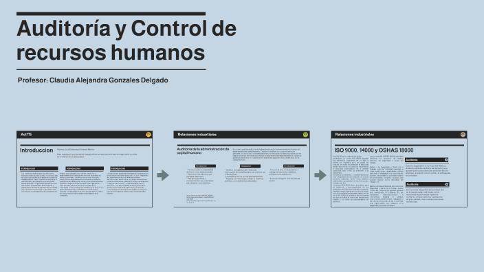 Auditoría y Control de recursos humanos by Luis Jimenez on Prezi