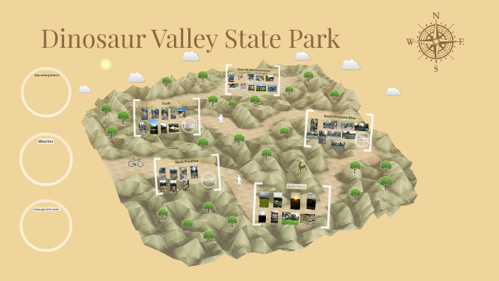 Dinosaur Valley State Park by Tracy Mays