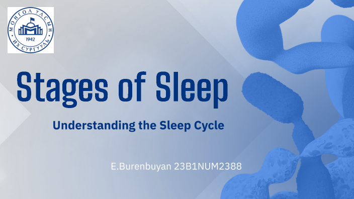 Stages of Sleep by Марал Энхсайхан on Prezi