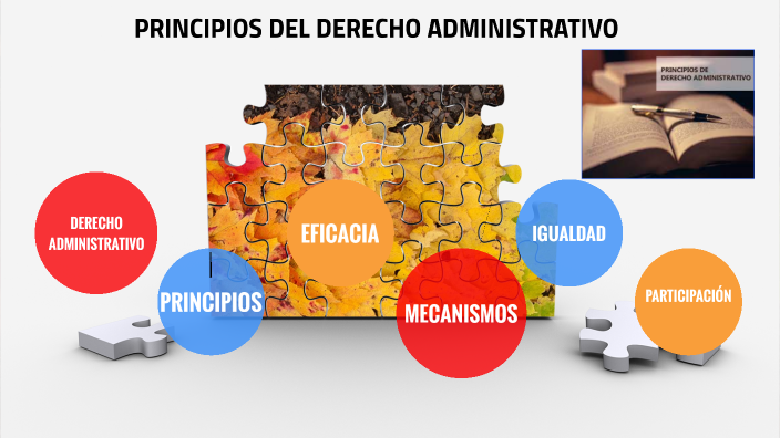 PRINCIPIOS DEL DERECHO ADMINISTRATIVO By Arianna Liévano Galvis On Prezi