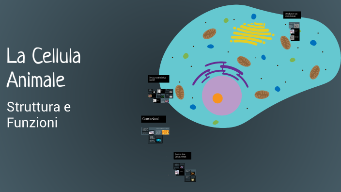 La Cellula Animale by Anna Tomassoni on Prezi
