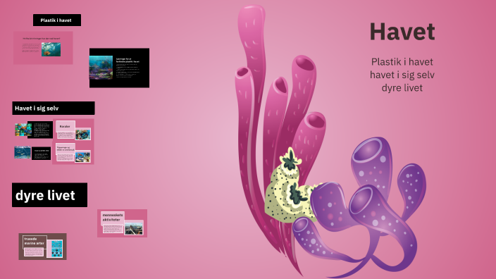 The Ocean by Melanie Nolfi on Prezi