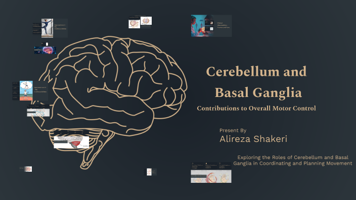 Cerebellum and Basal Ganglia Contributions to Overall Motor Control by ...