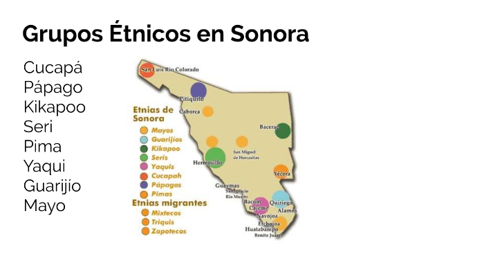 Grupos étnicos de Sonora by mitchelle felix on Prezi