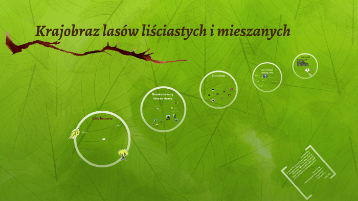Krajobraz lasów liściastych i mieszanych by Adam Zajączkowski on Prezi