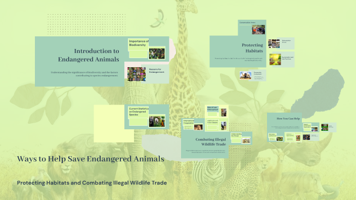 Ways to Help Save Endangered Animals by fiki bu on Prezi