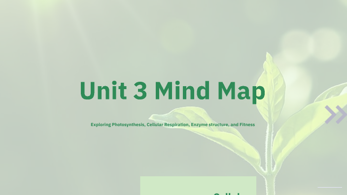 Unit 3 Mind Map by Melany Cano on Prezi
