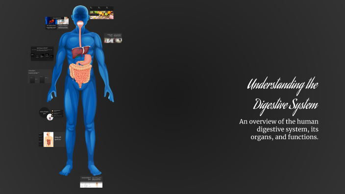 Understanding the Digestive System by Umut Öztürk on Prezi