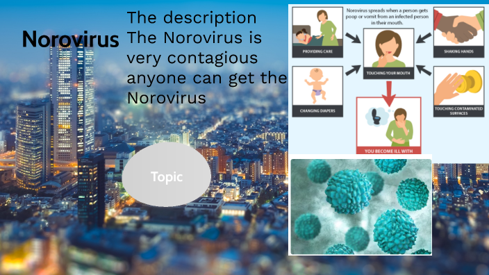 norovirus presentation prezi