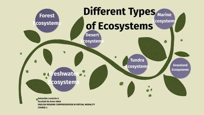 Different Types of Ecosystems by SEBASTIAN LONDOÑO VILLA on Prezi