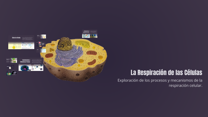 La Respiración de las Células by sofia lopez on Prezi