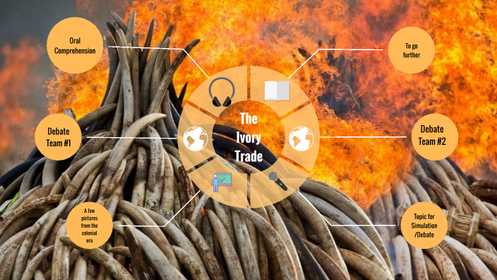 4A The Ivory Trade By Guillaume DIDIER On Prezi   Lmobifqg3svrdfgukdjrvr5gvl6jc3sachvcdoaizecfr3dnitcq 3 0 