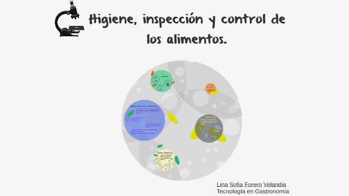 Higiene, inspección y control de los alimentos. by Lina Forero