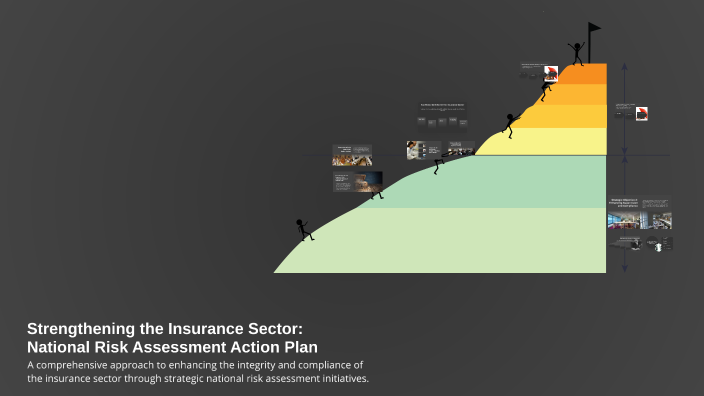 Strengthening the Insurance Sector: National Risk Assessment Action ...