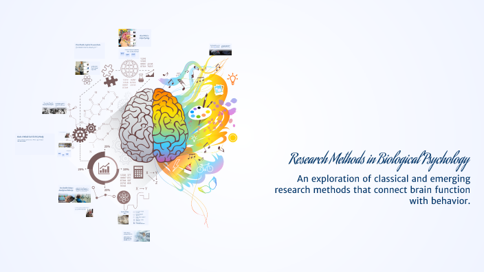 Biological Methods Research Methods in Biological Psychology by Tristan Eseo on Prezi