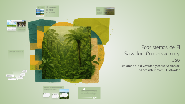 Ecosistemas de El Salvador: Conservación y Uso by naty sanchez on Prezi