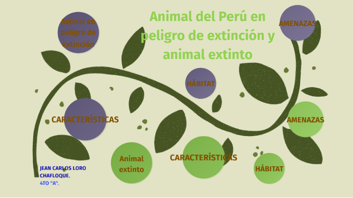 Pudú: Animal de Perú en peligro de extinción by Jean carlos Loro ...