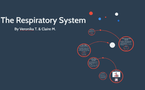 The Respiratory System by Blue Ivy on Prezi