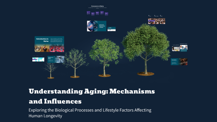 Understanding Aging: Mechanisms and Influences by Mattéo Noble on Prezi